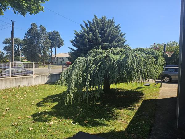 Maison 5 pièces - 187 m²