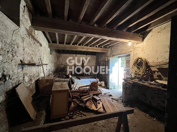 10 MIN MILLY LA FORET