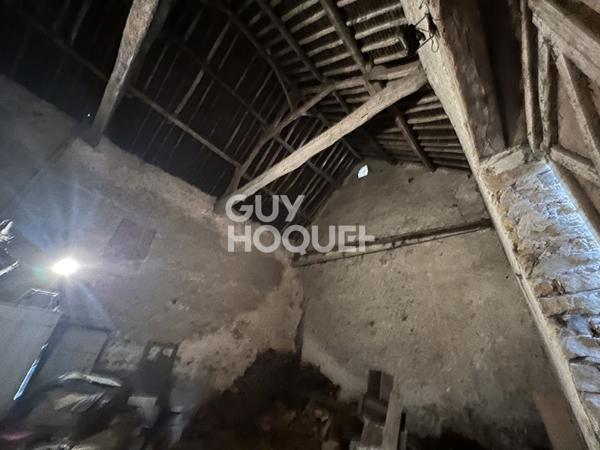 10 MIN MILLY LA FORET