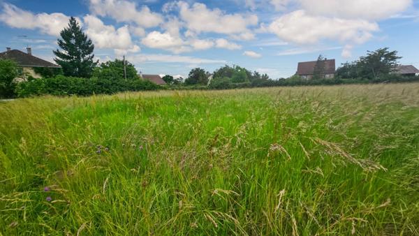 Terrain à vendre de 794,00 m² SOUVIGNY (03)