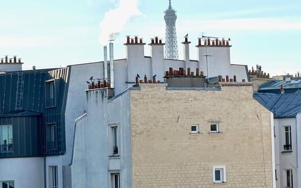 Appartement à vendre    3 pièces • 41,97 m2 Paris 17