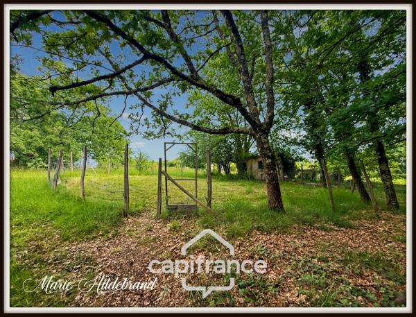 Maison de Caractère – 290 m², 8 Chambres, Jardin 7500 m², Vue Imprenable
