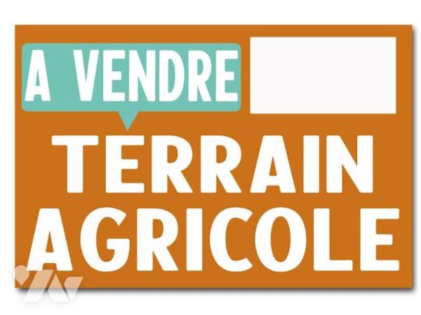 VENTE DE PARCELLES AGRICOLES – SAINT-SAUVANT (86600), 16ha92a43ca