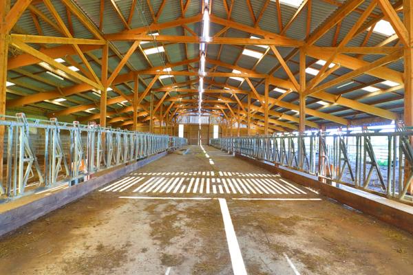 EXCLUSIF Propriete agricole avec 7 hectares possible 70 hectares en location