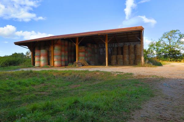 EXCLUSIF Propriete agricole avec 7 hectares possible 70 hectares en location