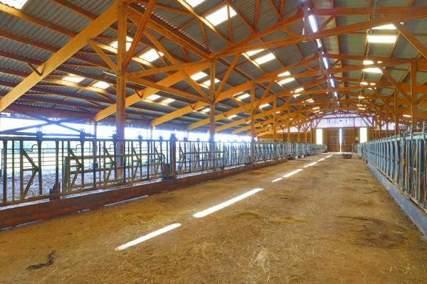 EXCLUSIF Propriete agricole avec 7 hectares possible 70 hectares en location