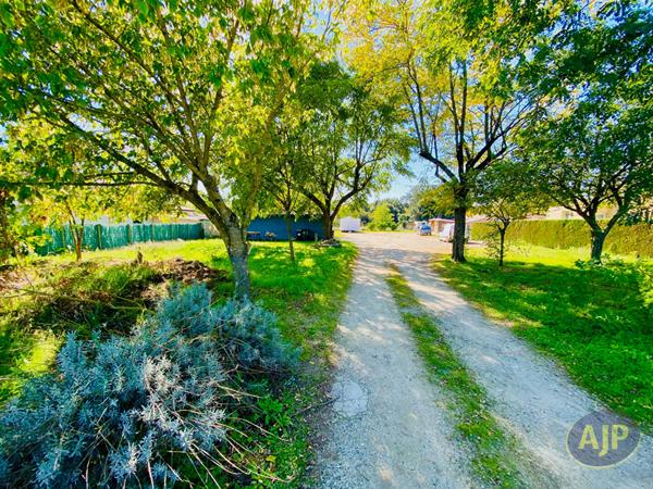 Vente terrain Lesparre Medoc : 60 000 € - AJP Lesparre Immobilier