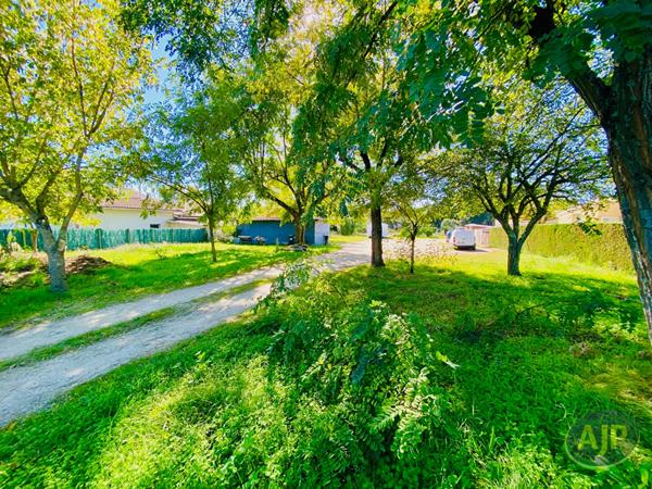 Vente terrain Lesparre Medoc : 60 000 € - AJP Lesparre Immobilier