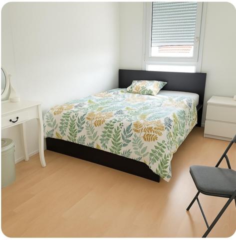 Appartement récent 100m2 trois chambres plein centre