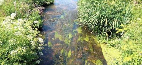Plouider (29260) Corps de ferme aménagé en campagne