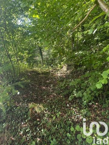 Terrain à vendre 