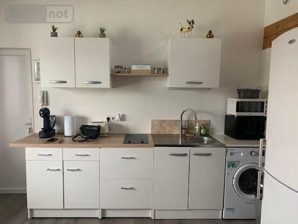Appartement à louer à Saint-Laurent-sur-Saône dans l'Ain (01750), ref : 13779/475