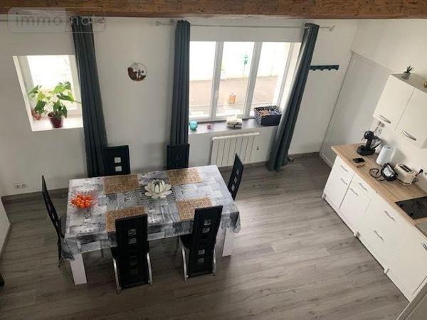 Appartement à louer à Saint-Laurent-sur-Saône dans l'Ain (01750), ref : 13779/475