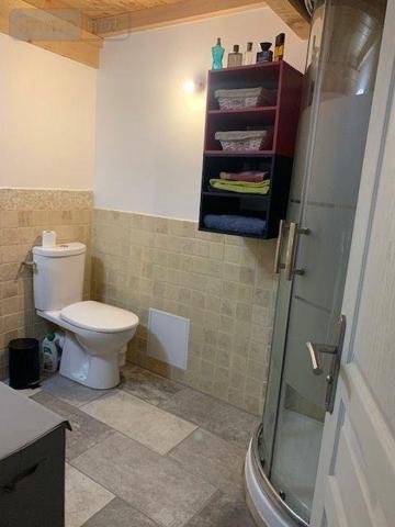 Appartement à louer à Saint-Laurent-sur-Saône dans l'Ain (01750), ref : 13779/475