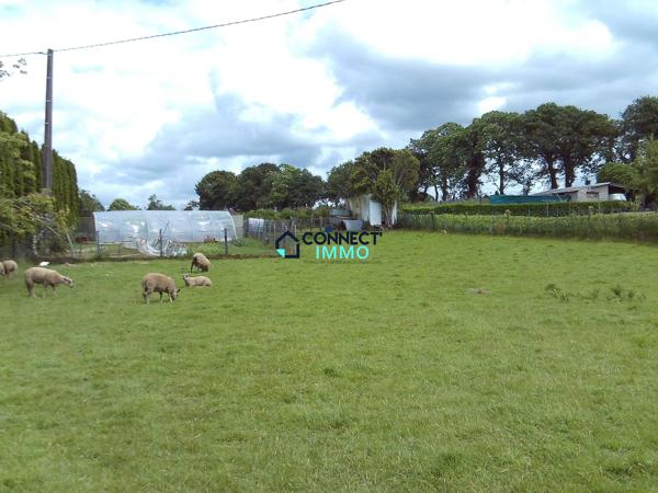 TERRAIN CONSTRUCTIBLE !