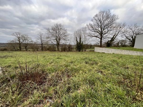 Vente Terrain à Martigné-Ferchaud