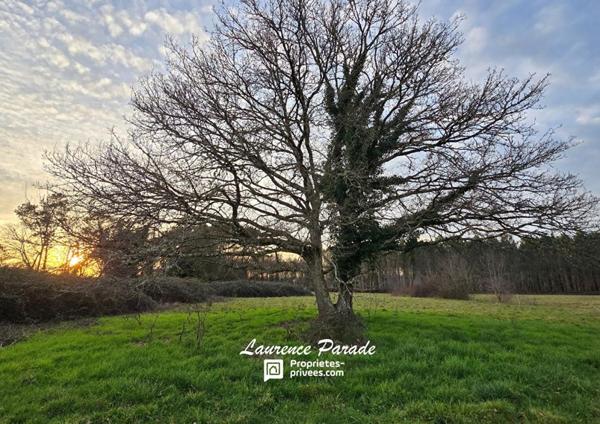 Terrain non constructible 7000m²