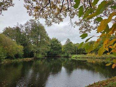 Étang à vendre à Vimartin sur Orthe en Mayenne (53160), ref : 1373 Étang à vendre à Vimartin sur Orthe en Mayenne (53160), ref : 1373