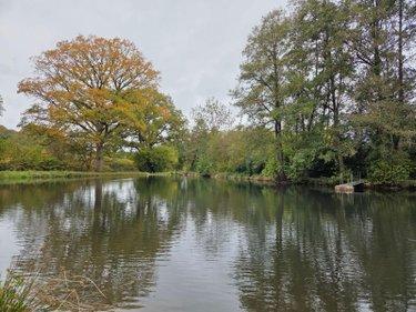 Étang à vendre à Vimartin sur Orthe en Mayenne (53160), ref : 1373 Étang à vendre à Vimartin sur Orthe en Mayenne (53160), ref : 1373