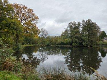 Étang à vendre à Vimartin sur Orthe en Mayenne (53160), ref : 1373 Étang à vendre à Vimartin sur Orthe en Mayenne (53160), ref : 1373