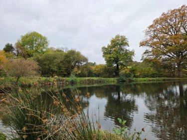 Étang à vendre à Vimartin sur Orthe en Mayenne (53160), ref : 1373 Étang à vendre à Vimartin sur Orthe en Mayenne (53160), ref : 1373