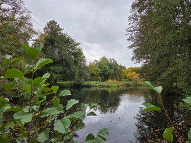 Étang à vendre à Vimartin sur Orthe en Mayenne (53160), ref : 1373 Étang à vendre à Vimartin sur Orthe en Mayenne (53160), ref : 1373