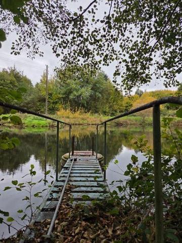 Étang à vendre à Vimartin sur Orthe en Mayenne (53160), ref : 1373 Étang à vendre à Vimartin sur Orthe en Mayenne (53160), ref : 1373