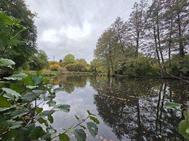 Étang à vendre à Vimartin sur Orthe en Mayenne (53160), ref : 1373 Étang à vendre à Vimartin sur Orthe en Mayenne (53160), ref : 1373