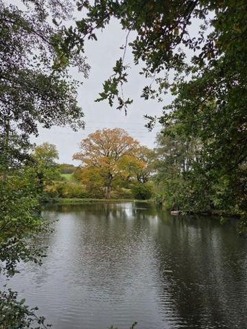Étang à vendre à Vimartin sur Orthe en Mayenne (53160), ref : 1373 Étang à vendre à Vimartin sur Orthe en Mayenne (53160), ref : 1373