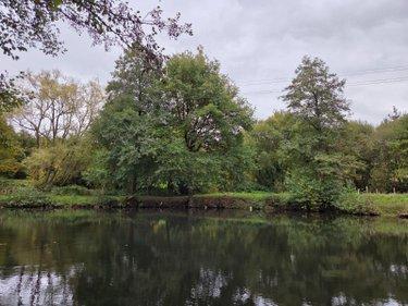 Étang à vendre à Vimartin sur Orthe en Mayenne (53160), ref : 1373 Étang à vendre à Vimartin sur Orthe en Mayenne (53160), ref : 1373