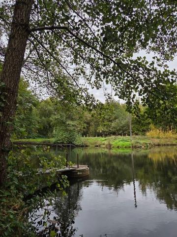 Étang à vendre à Vimartin sur Orthe en Mayenne (53160), ref : 1373 Étang à vendre à Vimartin sur Orthe en Mayenne (53160), ref : 1373