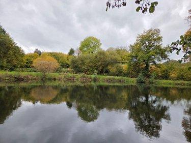 Étang à vendre à Vimartin sur Orthe en Mayenne (53160), ref : 1373 Étang à vendre à Vimartin sur Orthe en Mayenne (53160), ref : 1373