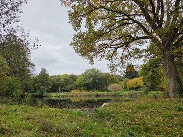 Étang à vendre à Vimartin sur Orthe en Mayenne (53160), ref : 1373 Étang à vendre à Vimartin sur Orthe en Mayenne (53160), ref : 1373