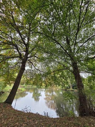 Étang à vendre à Vimartin sur Orthe en Mayenne (53160), ref : 1373 Étang à vendre à Vimartin sur Orthe en Mayenne (53160), ref : 1373