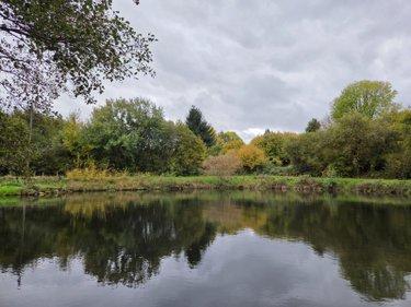 Étang à vendre à Vimartin sur Orthe en Mayenne (53160), ref : 1373 Étang à vendre à Vimartin sur Orthe en Mayenne (53160), ref : 1373