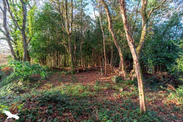 Maison à vendre |  Guengat |  7 pièces | 143 m²