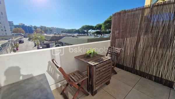 Studette de 18,95 m²