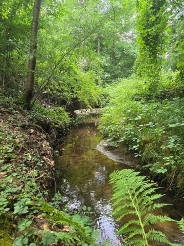 Propriété Meaulne Vitray 11 pièce(s) 365 m2