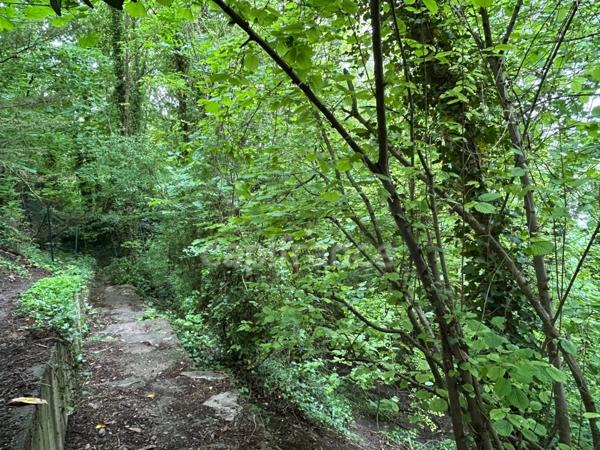 Propriété de Prestige en Pierre | 8 pièces | Parc paysagé | T2 indépendant (Beaumont sur Oise / L'Isle-Adam)