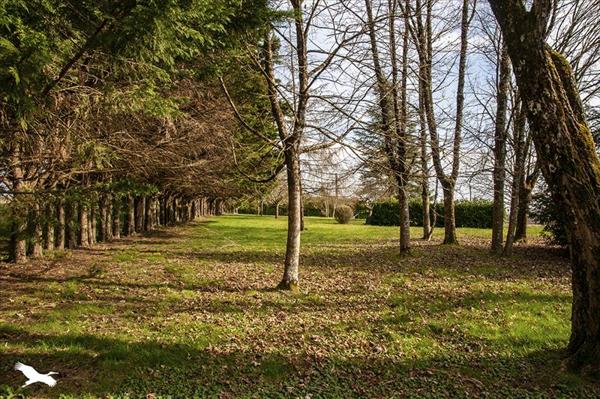 Maison à vendre |  Sencenac-Puy-de-Fourches |  4 pièces | 153 m²