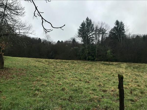 Terrain à vendre |  Saint-Sornin-Lavolps |  1200 m²