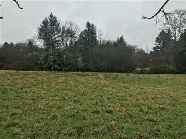 Terrain à vendre |  Saint-Sornin-Lavolps |  1200 m²