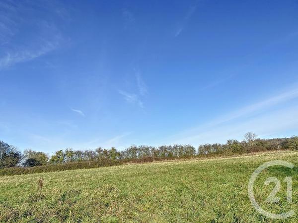 Terrain à vendre  13725 m2 PONTOISE - 95