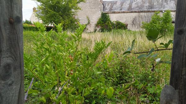 3 terrains constructibles et bornés CHATEAU LANDON