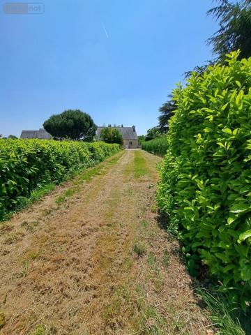 Terrain à Batir à vendre à Noyal-Pontivy dans le Morbihan (56920), ref : 56061-793