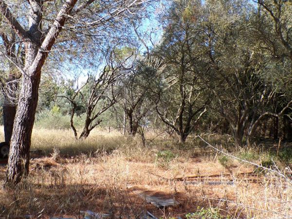 TERRAIN CONSTRUCTIBLE DIVISIBLE