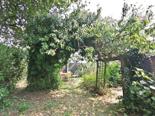 Vannes (56000) Maison dans un écrin de verdure - Vannes ouest