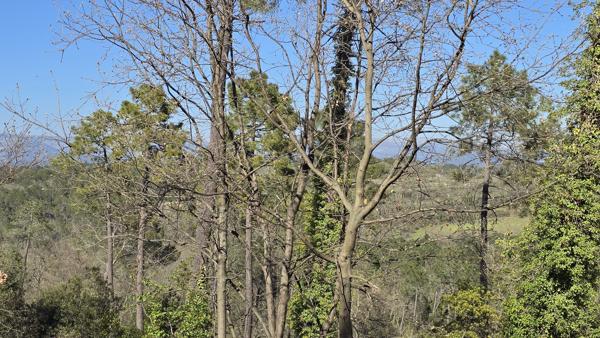 Terrain avec Permis de Construire à Saint-Paul-en-Forêt