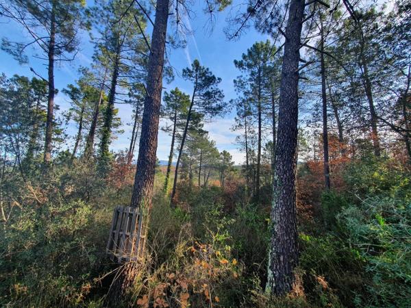 Terrain avec Permis de Construire à Saint-Paul-en-Forêt