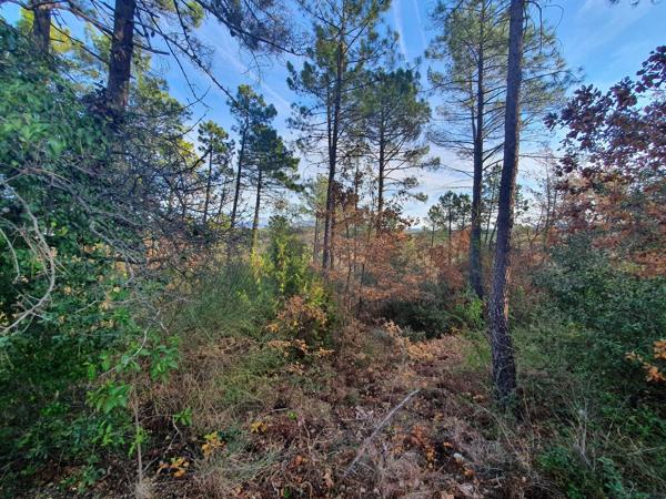 Terrain avec Permis de Construire à Saint-Paul-en-Forêt